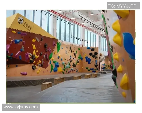 上海攀岩队的团队协作探索与实践：攀岩运动中的默契与信任之道