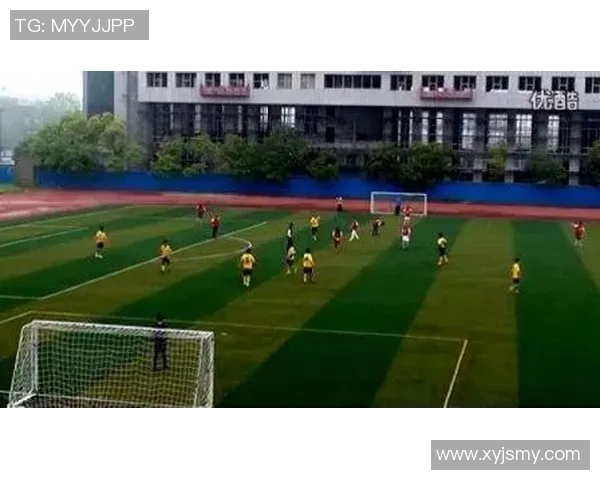 杭州乒乓球队比赛经验引发热议球迷与专家观点交锋探讨赛事表现